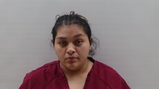 Booking photo of SAUCEDA AMANDA