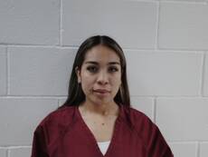 Booking photo of TELLO HERNANDEZ VIRGINIA MONSERRAT