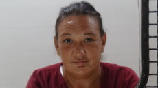 Booking photo of TORRES LISA ANN