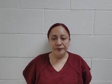 Booking photo of TORRES ZAVALA ARACELY
