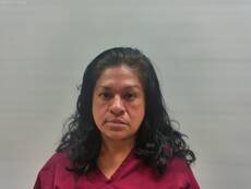 Booking photo of TREVINO ESMERALDA