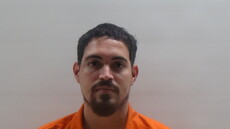 Booking photo of VARGAS RICARDO