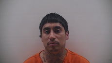 Booking photo of VASQUEZ APOLINAR NAJERA
