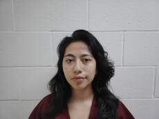 Booking photo of VILLEGAS BENAVIDES SANDRA MICHELLE