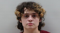 Booking photo of VUITTONET FELICIA DOMINIQUE