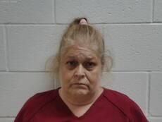 Booking photo of WHEELER ALLISON RENAE