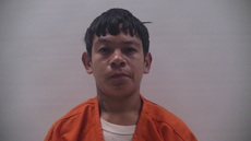 Booking photo of MATAMOROS GONZALEZ NOE DE JESUS