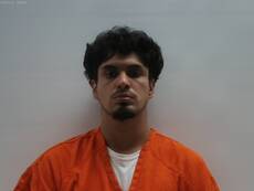 Booking photo of CASTILLO CARLOS