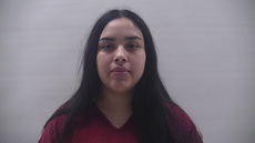 Booking photo of CASTILLO ITZEL