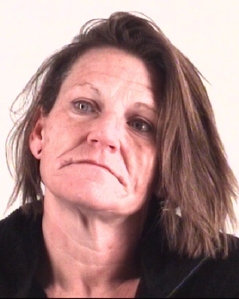 Booking photo of SHELLY MARIE WATKINS