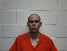 Booking photo of JUAREZ GERARDO