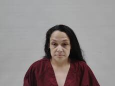 Booking photo of MORENO GINA RAE