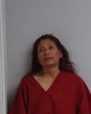Booking photo of Diana  Vega
