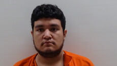 Booking photo of HERRERA LUIS DAVID